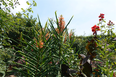 DSC08887_R