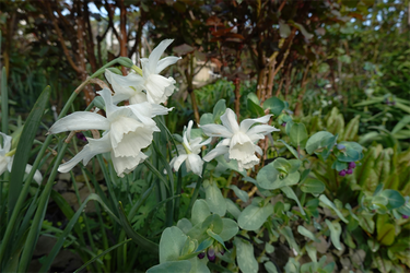 DSC06440_R