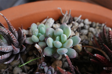 DSC06306_R