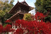 DSCF5936_R