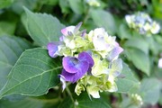 DSCF3091_R