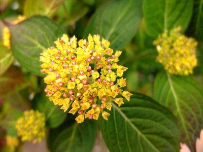 DSCF2618_R
