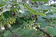 DSCF4124_R