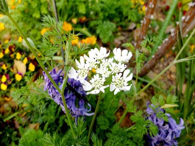 DSCF1630_R