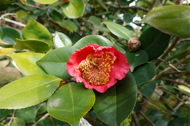 DSC06068_R