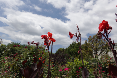 DSC08758_R