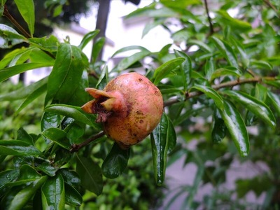 DSCF5363_R