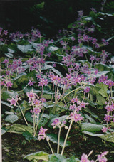 47061c88.jpg