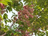 DSCF0813_R