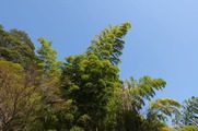 DSCF2046_R