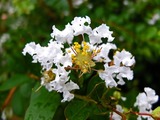 DSCF2817_R
