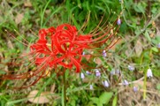 DSCF5304_R