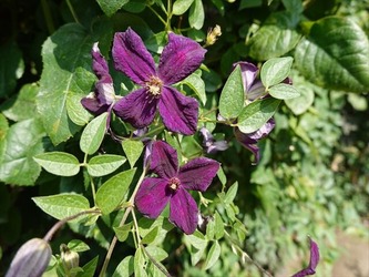 DSC01292_R