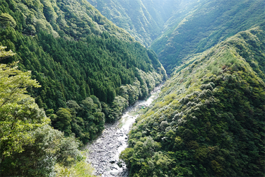 DSC09363_R
