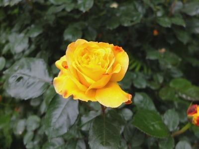 DSCF2556_R