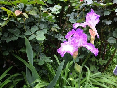 DSCF2598_R