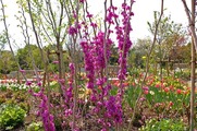 DSCF2446_R