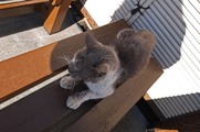 DSCF0747_R