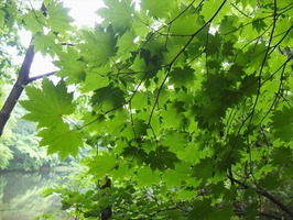 DSCF0851_R