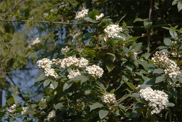 DSC05844_R
