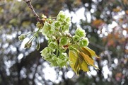 DSCF2391_R