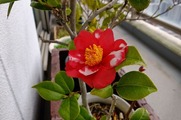 DSCF0999_R