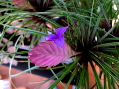 DSCF5392_R