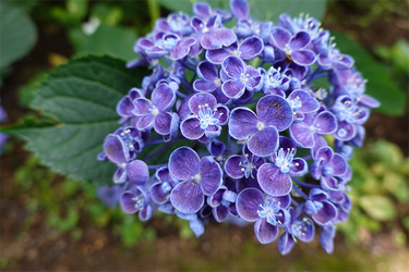 DSC08490_R