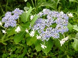 DSCF2550_R