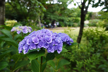 DSC08149_R