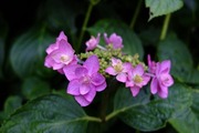 DSCF3188_R