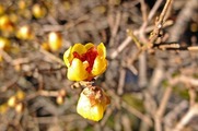 DSCF8391_R