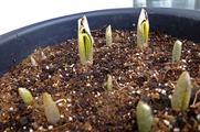DSCF1454_R