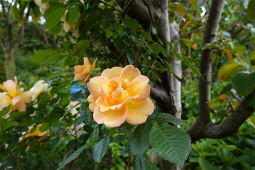 DSC06843_R