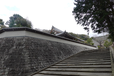 DSC05659_R