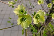 DSCF2498_R
