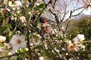 DSCF0649_R