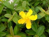 DSCF2393_R