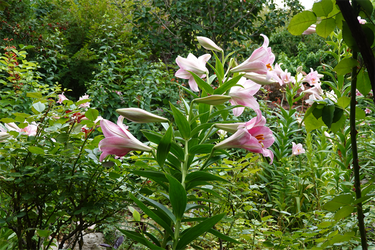 DSC08319_R