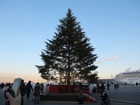 DSCF6230_R