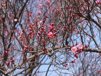 DSCF4284_R