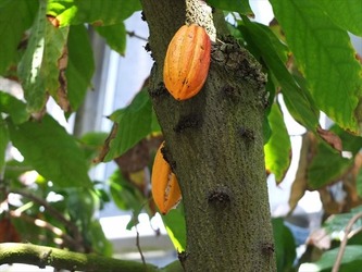 DSCF9256_R