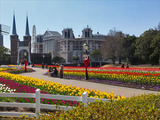 DSCF6475_R