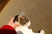 DSCF9010_R