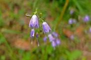 DSCF5305_R