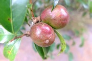 DSCF6048_R