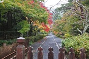 DSCF7458_R