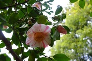 S0069194_R