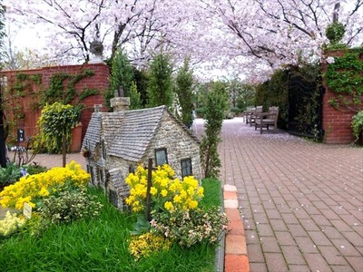 DSCF8435_R