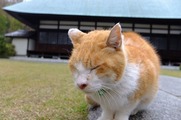 DSCF2258_R